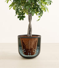 Load image into Gallery viewer, Stone Black stand:all