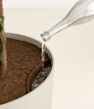 Load image into Gallery viewer, Natural Bamboo