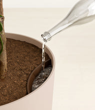 Load image into Gallery viewer, Sandy Pink