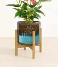 Load image into Gallery viewer, Dark Olive stand:bamboo