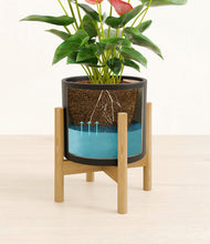 Load image into Gallery viewer, Black stand:bamboo