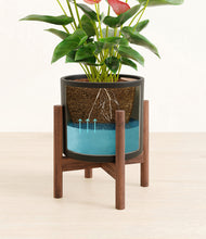 Load image into Gallery viewer, Black stand:walnut