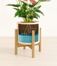 Load image into Gallery viewer, Cream stand:bamboo