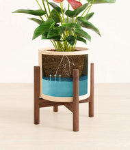 Load image into Gallery viewer, Cream stand:walnut