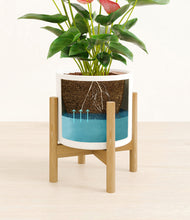 Load image into Gallery viewer, White stand:bamboo