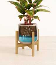 Load image into Gallery viewer, Eternal Gray stand:bamboo