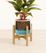 Load image into Gallery viewer, Gentle Pink stand:bamboo