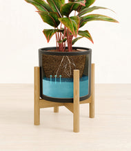 Load image into Gallery viewer, Black stand:bamboo