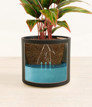 Load image into Gallery viewer, Black