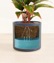 Load image into Gallery viewer, Deep Navy