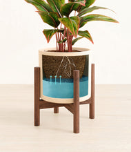 Load image into Gallery viewer, Cream stand:walnut