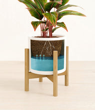 Load image into Gallery viewer, White stand:bamboo