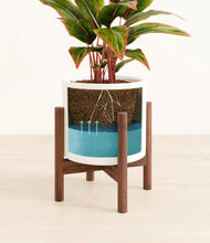 Load image into Gallery viewer, White stand:walnut