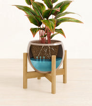 Load image into Gallery viewer, Desert Brown stand:bamboo
