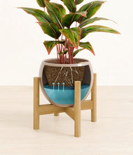 Load image into Gallery viewer, Desert Brown stand:bamboo