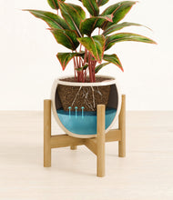 Load image into Gallery viewer, Shiny EggWhite stand:bamboo