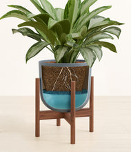 Load image into Gallery viewer, Iron Gray stand:walnut