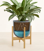 Load image into Gallery viewer, Iron Gray stand:bamboo