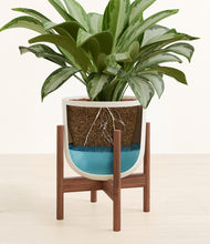 Load image into Gallery viewer, Natural Bamboo stand:walnut