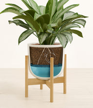 Load image into Gallery viewer, Natural Bamboo stand:bamboo