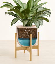 Load image into Gallery viewer, Sandy Pink stand:bamboo