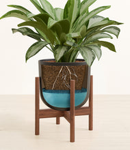 Load image into Gallery viewer, Stone Black stand:walnut