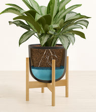 Load image into Gallery viewer, Stone Black stand:bamboo