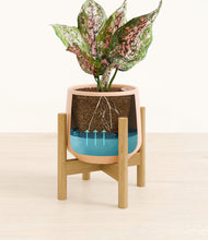Load image into Gallery viewer, Gentle Pink stand:bamboo
