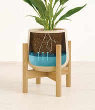 Load image into Gallery viewer, Almond Green stand:bamboo