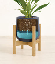 Load image into Gallery viewer, Deep Navy stand:bamboo