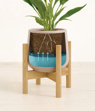 Load image into Gallery viewer, Eternal Gray stand:bamboo