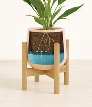 Load image into Gallery viewer, Gentle Pink stand:bamboo