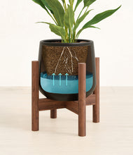 Load image into Gallery viewer, Black stand:walnut