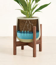 Load image into Gallery viewer, Turquoise stand:walnut