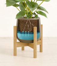 Load image into Gallery viewer, Olive stand:bamboo