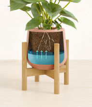 Load image into Gallery viewer, Calm Rose stand:bamboo