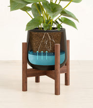 Load image into Gallery viewer, Black stand:walnut