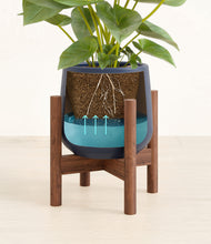 Load image into Gallery viewer, Deep Navy stand:walnut