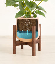 Load image into Gallery viewer, Gentle Pink stand:walnut