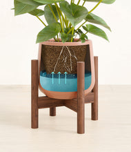 Load image into Gallery viewer, Calm Rose stand:walnut