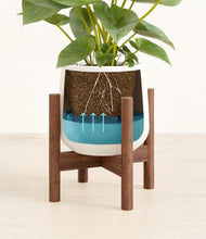 Load image into Gallery viewer, White stand:walnut