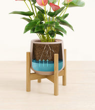 Load image into Gallery viewer, Eternal Gray stand:bamboo