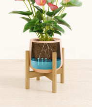 Load image into Gallery viewer, Gentle Pink stand:bamboo
