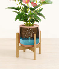 Load image into Gallery viewer, Calm Rose stand:bamboo