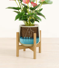 Load image into Gallery viewer, Turquoise stand:bamboo