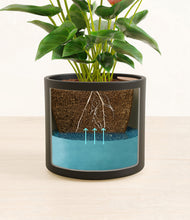 Load image into Gallery viewer, Black