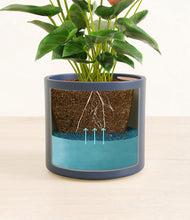 Load image into Gallery viewer, Deep Navy