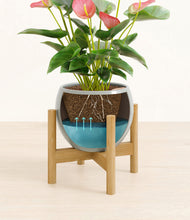 Load image into Gallery viewer, Deep Ocean stand:bamboo