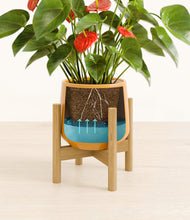 Load image into Gallery viewer, Mustard stand:bamboo