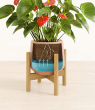 Load image into Gallery viewer, Calm Rose stand:bamboo